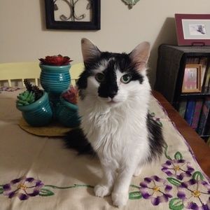 Meet your Posher, Hope